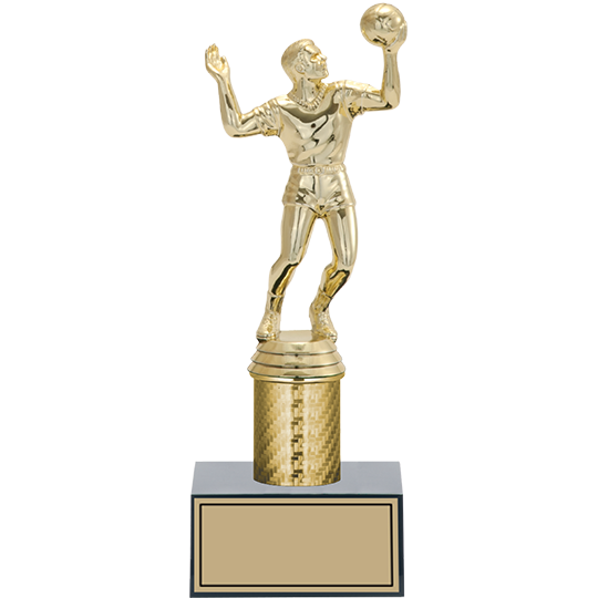 Voleybol Kupası - Ödül Kupası